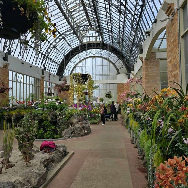 Domain Wintergardens (Auckland) 🌸