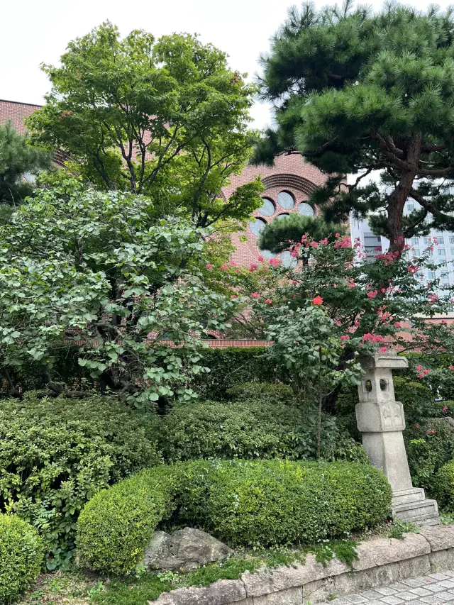 At Myeongdong Cathedral