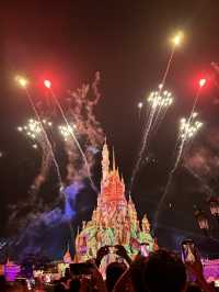 Hong Kong Disneyland 🏰