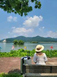 내장산뷰가 힐링였던 정읍 야외 나들이코스💚