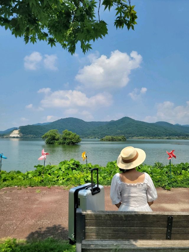 내장산뷰가 힐링였던 정읍 야외 나들이코스💚
