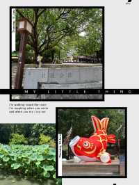 靚景打卡必去森林路線