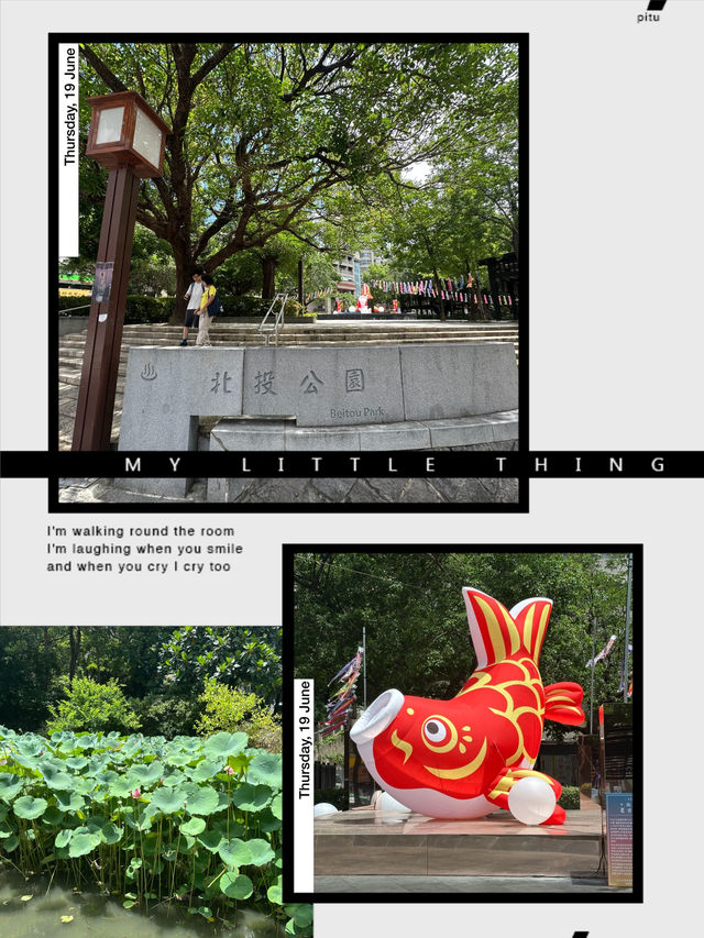 靚景打卡必去森林路線   靚景打卡必去森林路線