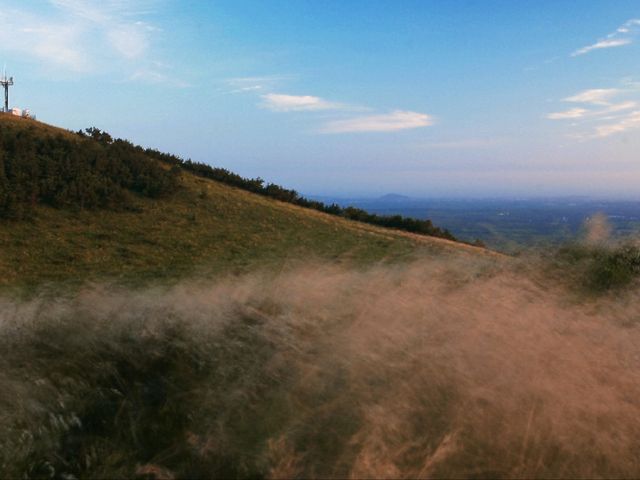 🌿 금악오름 – 제주 자연의 숨결을 느끼다