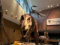 Shanghai Natural History Museum