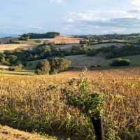 Discovering the Charm of Midi Pyrenees