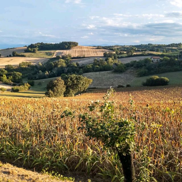 Discovering the Charm of Midi Pyrenees