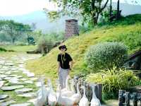 สวนสัตว์ Alpaca Hill