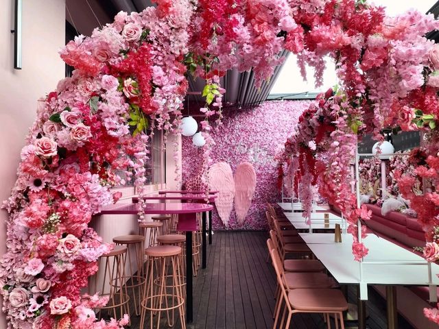 🩷Pink Cafe🩷