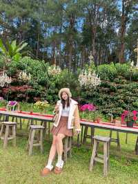 22 AQUARIUS Glamping Cafe