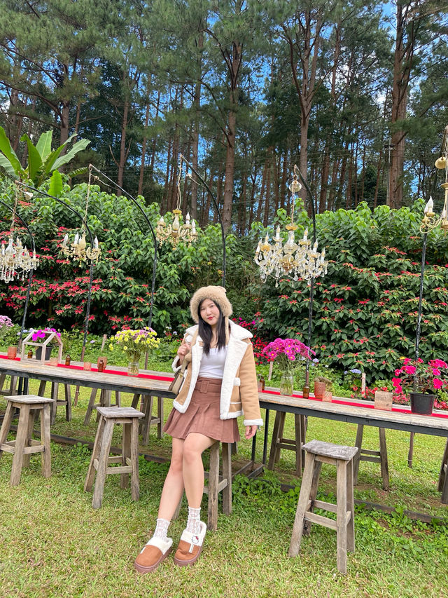 22 AQUARIUS Glamping Cafe