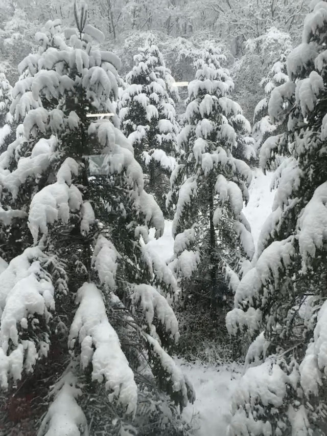 ❄️ 이천 겨울에 가야 하는 이유 ✨
