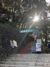 🚡高尾山一日遊：纜車體驗×登山散策×美食享受