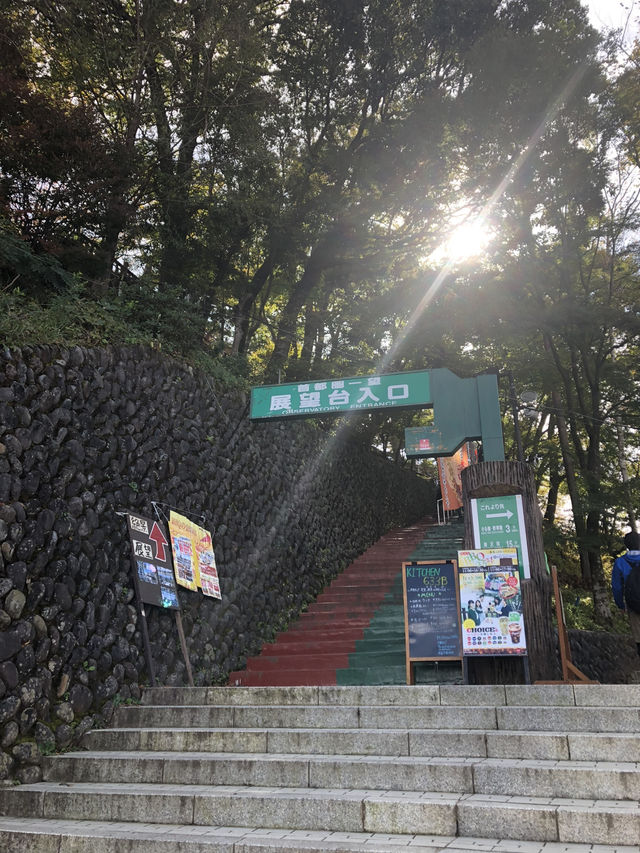 🚡高尾山一日遊：纜車體驗×登山散策×美食享受