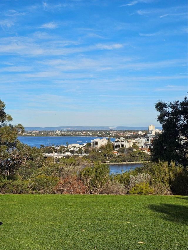 Sunset Vibes & City Views: Picnicking at Kings Park, Perth 🌅✨