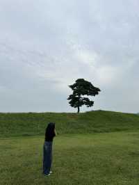 🌳 청주 정북동토성, 드넓은 초원 위 인생샷 🌿
