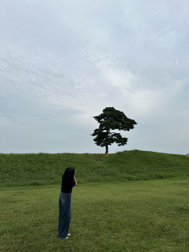 🌳 청주 정북동토성, 드넓은 초원 위 인생샷 🌿