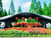 上海🇨🇳東平國家森林公園