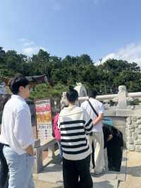 부산 해동용궁사, 바다와 함께 걷는 완벽한 하루