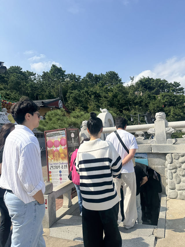 부산 해동용궁사, 바다와 함께 걷는 완벽한 하루  부산 해동용궁사, 바다와 함께 걷는 완벽한 하루