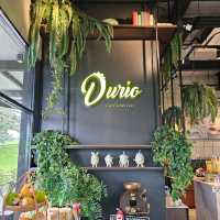 🌟Durian Land เที่ยวชมสวนทุเรียนที่จันทบุรี⭐️