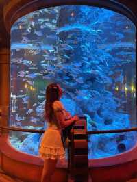 อความเรียมในสวนสนุก Vinwonders🐋