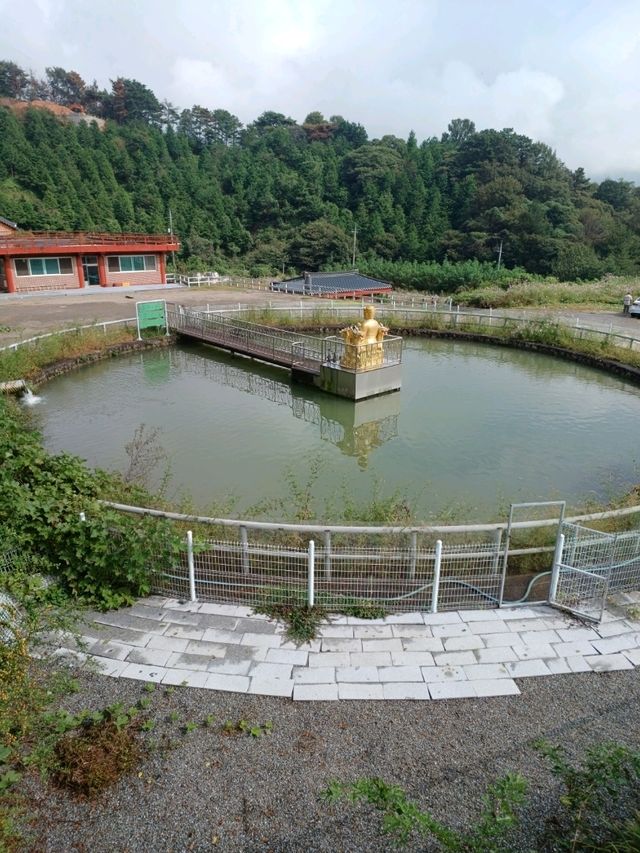 🕊️ 고요 속 위엄, 대형 불상이 인상적인 광양 운암사