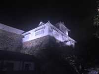 【岡山】津山城ナイトファンタジア✨光に包まれる幻想の城夜景🏯 