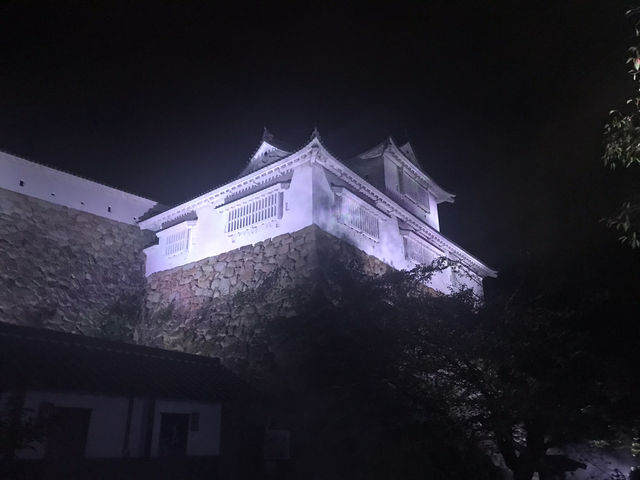 【岡山】津山城ナイトファンタジア✨光に包まれる幻想の城夜景🏯 