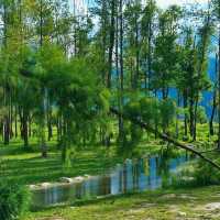 Breathtaking Views at Erhai Lake, Dali Yunnan