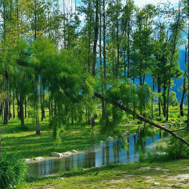 Breathtaking Views at Erhai Lake, Dali Yunnan