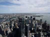 Touching the Sky Above New York City