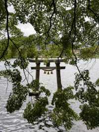 走進童話！由布院一日漫遊：金鱗湖霧景Ｘ湯之坪療癒散策。