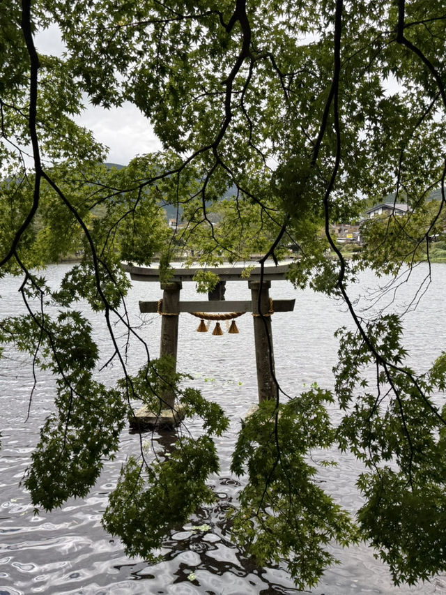 走進童話！由布院一日漫遊：金鱗湖霧景Ｘ湯之坪療癒散策。