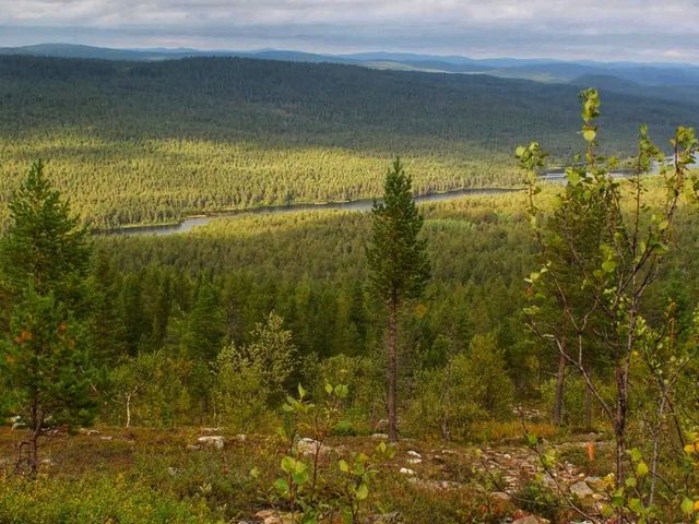🌌 Lemmenjoki National Park – The Wild Soul of Finnish Lapland