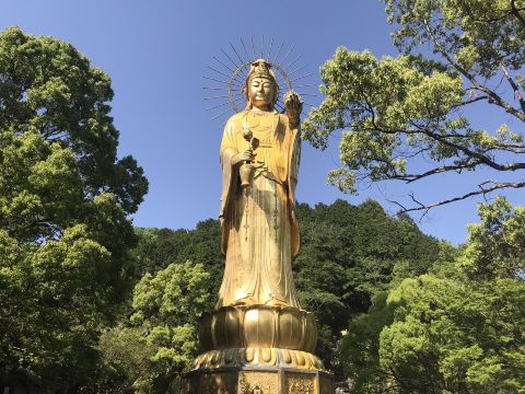三重・大観音寺🎵】黄金観音×神獣×カラオケ!? 個性爆発の聖地へ | Trip