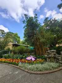 盧廉若公園賞花燈打卡