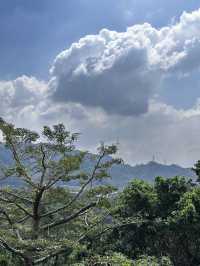 斗門 金台寺 可能係廣東省求財最靈的寺廟