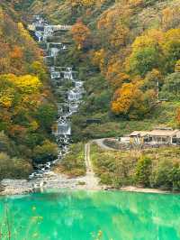 🍁단풍으로 짙게 물든 쿠로베 협곡과 에메랄드 빛 강을 볼 수 있는 가을 ‘쿠로베 협곡 토롯코 열차’