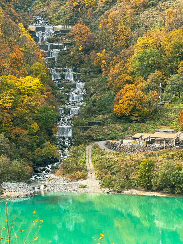 🍁단풍으로 짙게 물든 쿠로베 협곡과 에메랄드 빛 강을 볼 수 있는 가을 ‘쿠로베 협곡 토롯코 열차’