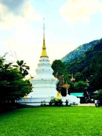 🌸ไหว้พระ ชมวิวทุ่งนา วัดนาคูหา