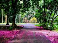 SSR Botanic Garden - Mauritius 