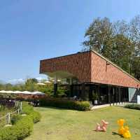 ☕ TATA Chiang Dao — คาเฟ่ + ฟาร์ม วิวดอยหลวงเชียงด