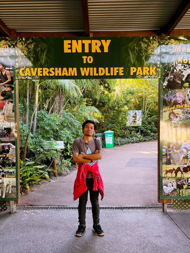 Wild Encounter at Caversham Wildlife Park