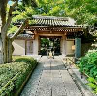 Solo Zen: Finding Peace in Hokokuji's Bamboo Grove