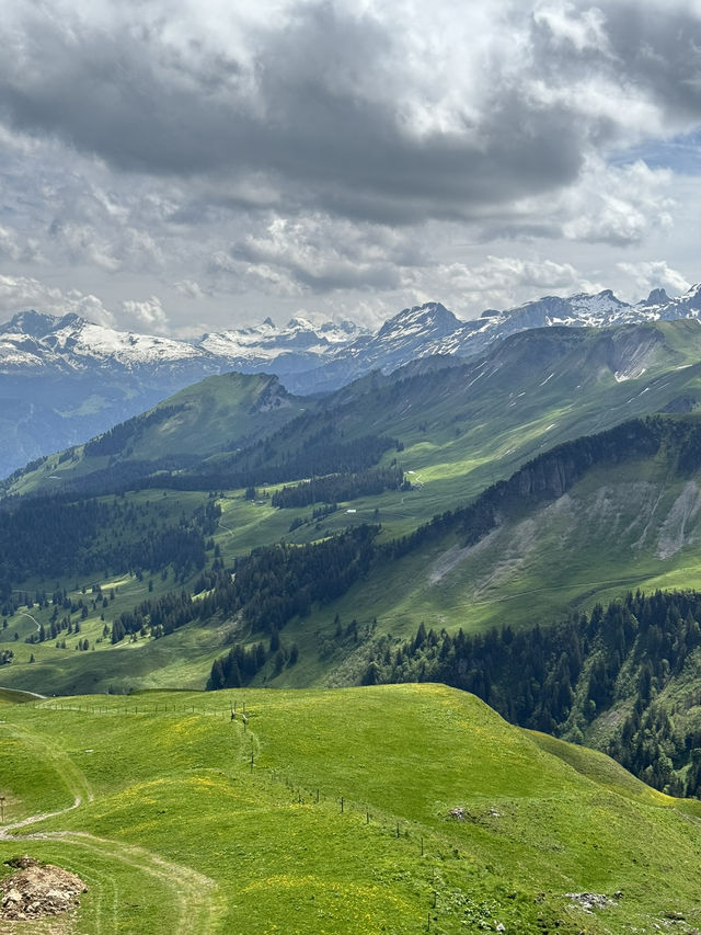 ⛰️ Fronalpstock – จุดชมวิวสุดตระการตา 🇨🇭
