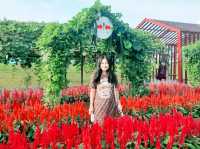 งานเมล็ดพันธุ์ บริษัทศรแดง