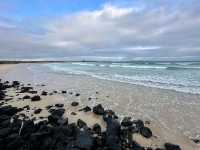 Isla Isabela Discover Untamed Beauty