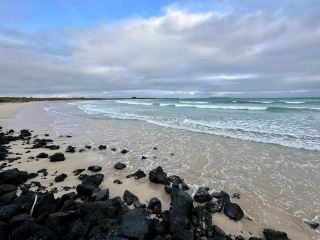 Isla Isabela Discover Untamed Beauty