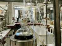 ニースからバスで30分！エズ村魅力ご紹介🦅⛰️🌹